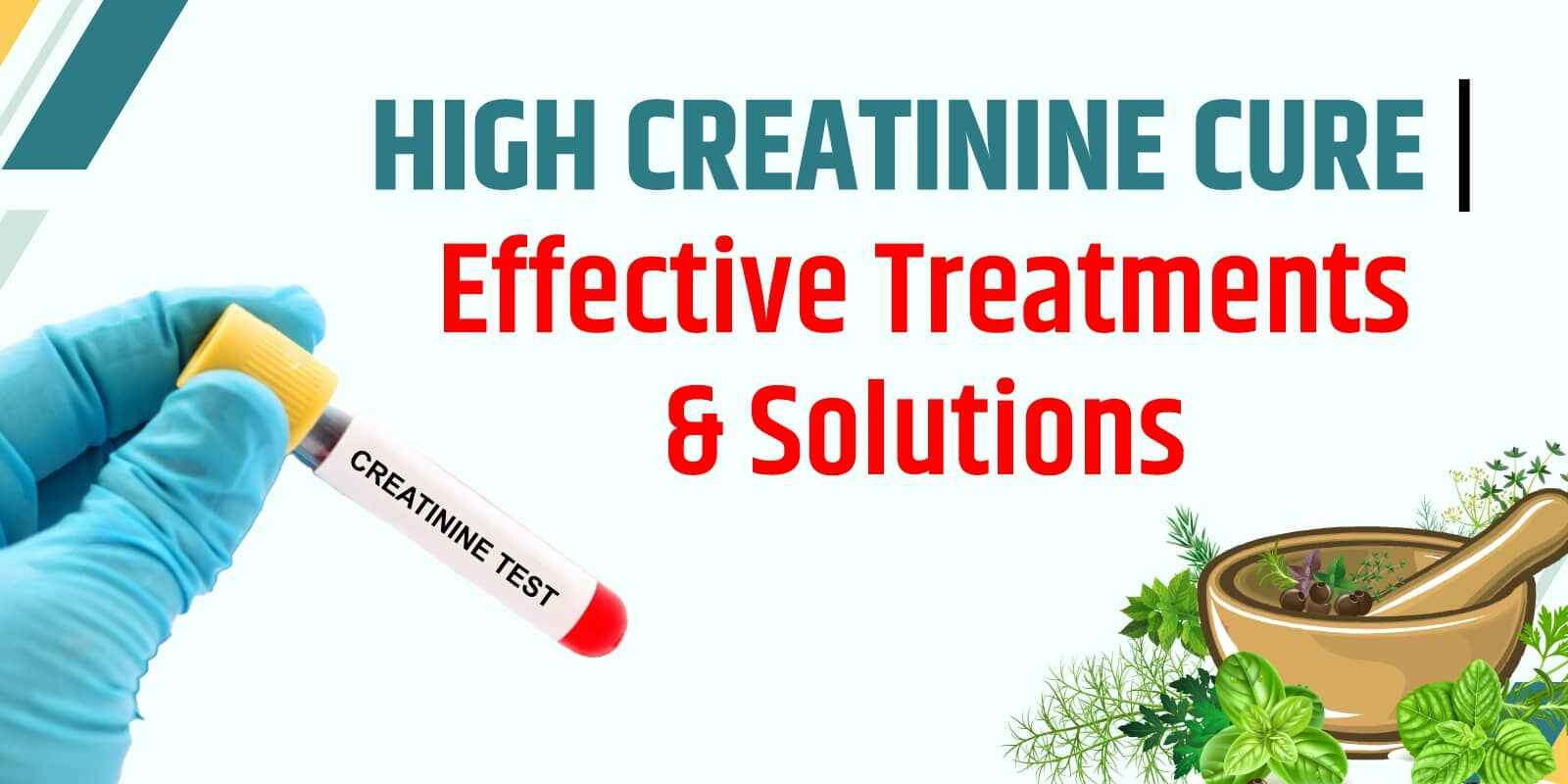 High Creatinine Cure | Effective Treatments & Solutions